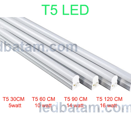 Northern Lights, Norway